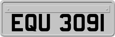 EQU3091
