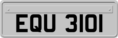 EQU3101