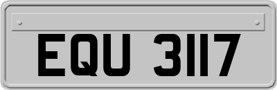 EQU3117