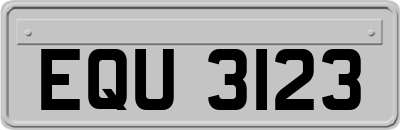 EQU3123