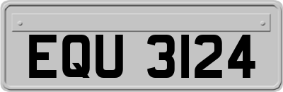 EQU3124