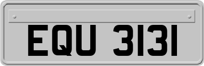 EQU3131