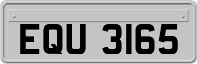EQU3165