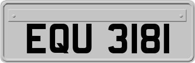 EQU3181
