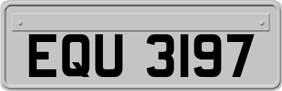 EQU3197