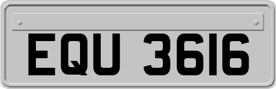 EQU3616