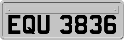 EQU3836