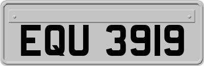 EQU3919