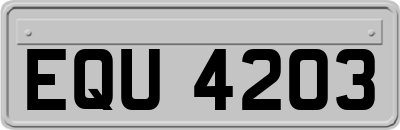 EQU4203