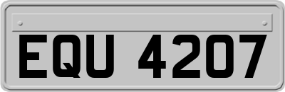 EQU4207