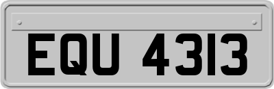 EQU4313