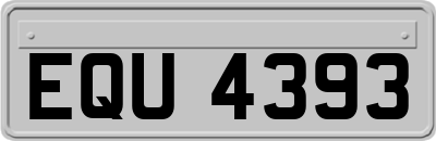 EQU4393