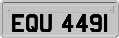 EQU4491