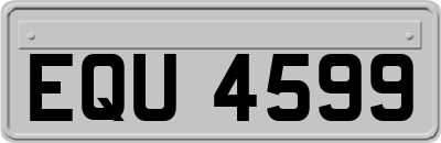 EQU4599