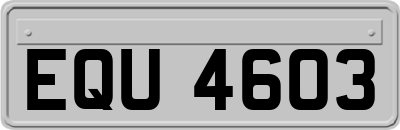 EQU4603