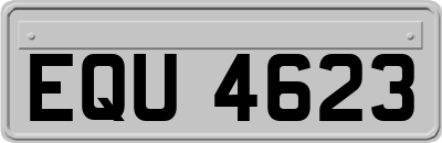 EQU4623