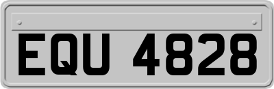 EQU4828