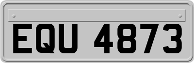 EQU4873