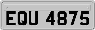EQU4875