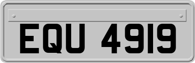 EQU4919