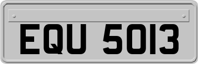 EQU5013