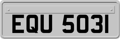 EQU5031