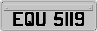 EQU5119