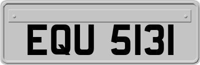 EQU5131