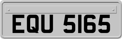 EQU5165
