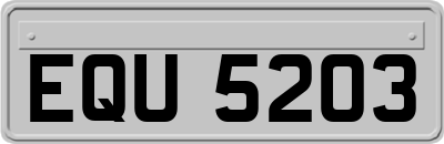EQU5203