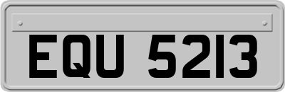 EQU5213