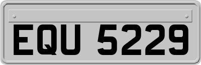 EQU5229