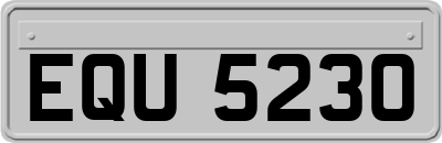 EQU5230