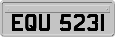 EQU5231