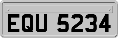 EQU5234