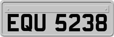 EQU5238