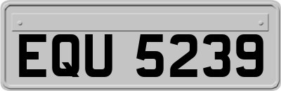EQU5239