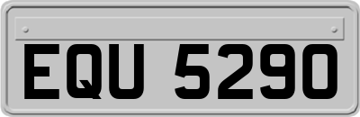 EQU5290