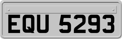 EQU5293