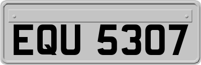 EQU5307