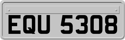 EQU5308