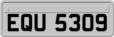 EQU5309