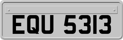 EQU5313
