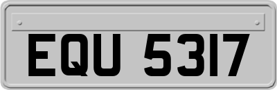 EQU5317