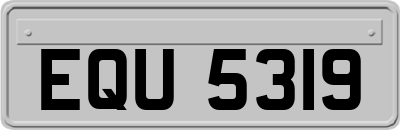 EQU5319