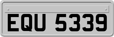 EQU5339