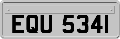 EQU5341