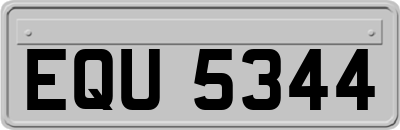 EQU5344