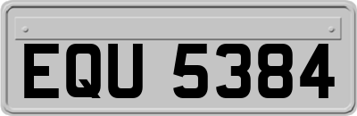 EQU5384