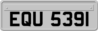 EQU5391